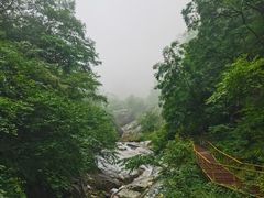 -青峰峡国家森林公园