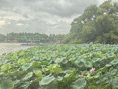 -湖畔居茶楼(湖滨店)