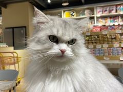 -听TA说宠咖·宠物生活馆(天韵水岸店)