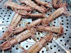 -董大蒸货(方塔园店)