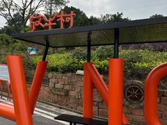 -南山植物园