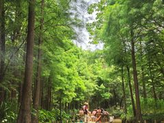 -尚湖风景区