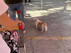 -佳乐家(新华店)