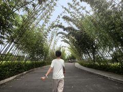 -眉山湿地公园(东坡区)
