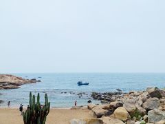 -广东惠东海龟国家级自然保护区