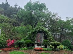 -广州白江湖森林公园