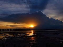 -宝安西湾红树林湿地公园