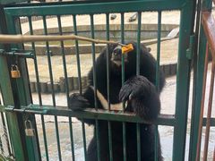 -栾川竹海野生动物园