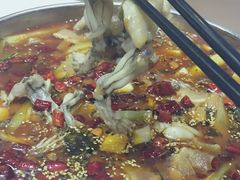 -靓蛙馆