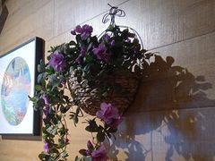 -云尊府云南菜·蒸汽石锅鱼(学清路店)