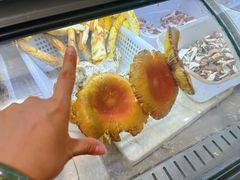 -南渝食府.墨脱石锅松茸鸡(尚城花园店)