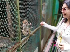 -藏龙百瀑风景区