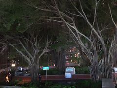 -南宁南湖公园
