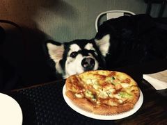 -百好乐宠物友好餐厅(朝外大街店)