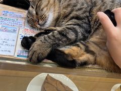 -猫的天空之城概念书店(杭州南宋御街店)