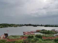 -芒洲湿地公园