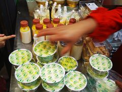 -德禄酸奶(莫家街店)