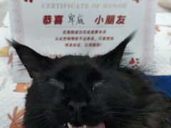 -御宝贝24h宠物医院·转诊中心·CT核磁血透中心(厦门总院)
