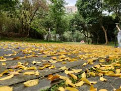 -深圳国际园林花卉博览园