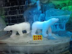-石家庄市植物园