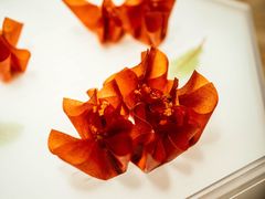 山楂鹅肝-拾久(朝阳公园店)