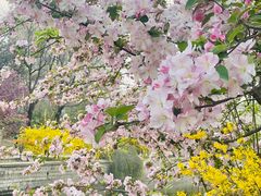 -元大都城垣遗址公园