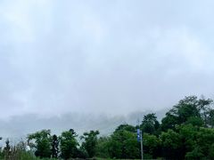 -杨家堂村