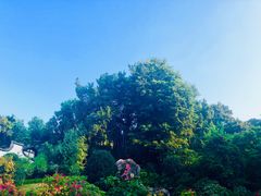 -乌山风景区
