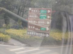 -野象谷景区