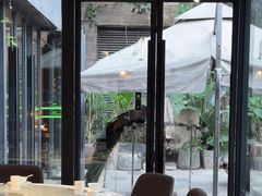 -渝半城经典川粤菜(重庆天地店)