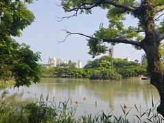 -江心屿景区