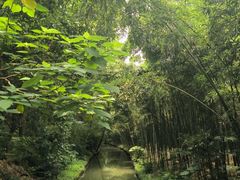 -同里国家湿地公园