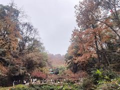 -岳麓山风景名胜区