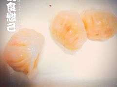 晶莹鲜虾饺-添好运点心专门店(深水埗店)