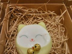 -猫的天空之城概念书店(印象城购物中心店)