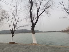 -羊山湖公园