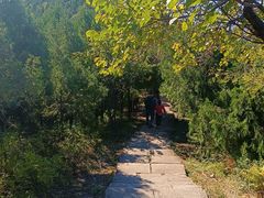 -北京十三陵国家森林公园蟒山景区