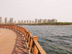 -丁香湖公园