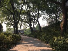 -苏州上方山国家森林公园