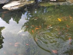 -羊亭河湿地公园