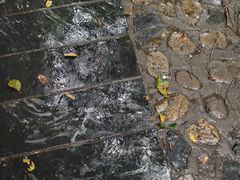 -石台牯牛降景区