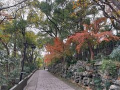 -城隍阁