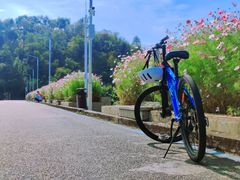 -红花湖景区