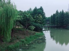-尚贤河湿地