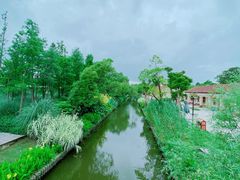 -上海长兴岛郊野公园