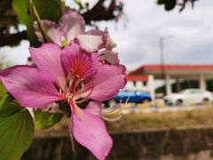 -三溪村
