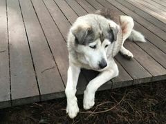 -优游吧斯邹族文化部落