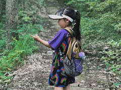 -素山寺森林公园