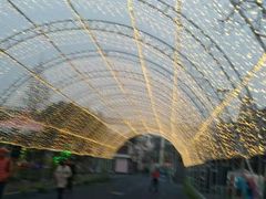 -锦江乐园舞狸花花游园会(夜场专享)