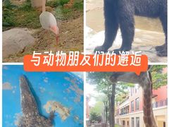 -灵玲国际马戏城